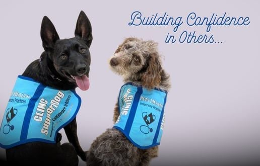 The Bond Isn’t Gone – It Just Needs Rebuilding The Bond Isn’t Gone – It Just Needs Rebuilding